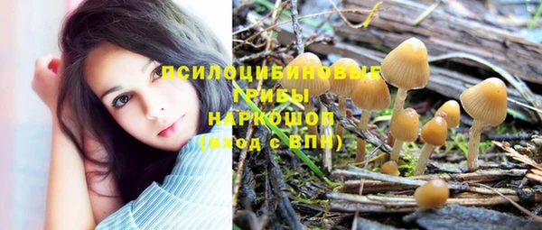 ПСИЛОЦИБИНОВЫЕ ГРИБЫ Балабаново