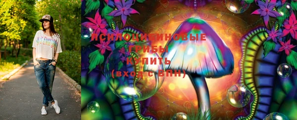 дживик Баксан