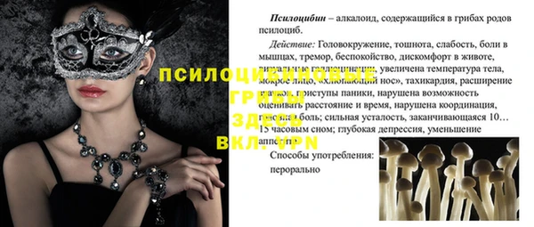 дживик Баксан
