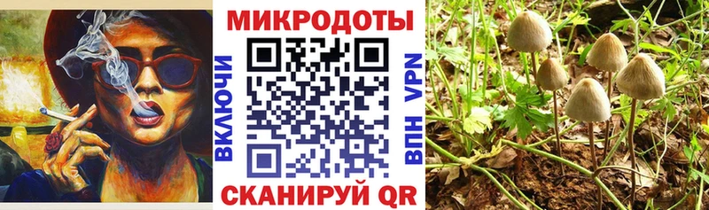 Галлюциногенные грибы Cubensis  Кольчугино 